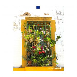 fenêtre, séville, sevilla, espagne, spain, window, fleurs, flowers